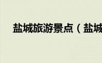 盐城旅游景点（盐城旅游景点大全排名）