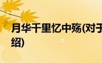 月华千里忆中殇(对于月华千里忆中殇简单介绍)