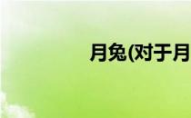月兔(对于月兔简单介绍)