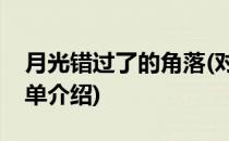 月光错过了的角落(对于月光错过了的角落简单介绍)