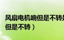 风扇电机响但是不转是怎么回事（风扇电机响但是不转）