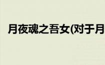 月夜魂之吾女(对于月夜魂之吾女简单介绍)