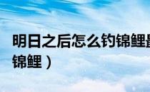 明日之后怎么钓锦鲤最简单（明日之后怎么钓锦鲤）