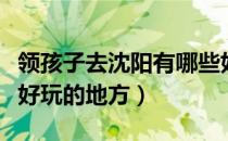 领孩子去沈阳有哪些好玩的地方（沈阳有哪些好玩的地方）