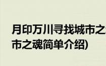 月印万川寻找城市之魂(对于月印万川寻找城市之魂简单介绍)