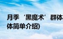 月季‘黑魔术’群体(对于月季‘黑魔术’群体简单介绍)