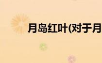月岛红叶(对于月岛红叶简单介绍)