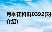 月季花科鲜0392(对于月季花科鲜0392简单介绍)