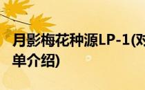 月影梅花种源LP-1(对于月影梅花种源LP-1简单介绍)