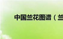 中国兰花图谱（兰花品种鉴别图谱）