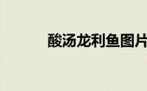 酸汤龙利鱼图片（酸汤龙利鱼）