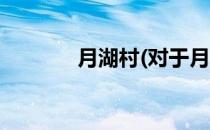 月湖村(对于月湖村简单介绍)