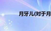 月牙儿(对于月牙儿简单介绍)