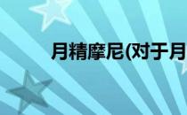月精摩尼(对于月精摩尼简单介绍)