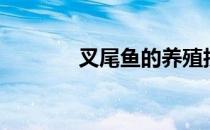 叉尾鱼的养殖技术（叉尾鱼）