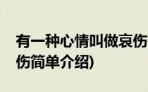 有一种心情叫做哀伤(对于有一种心情叫做哀伤简单介绍)