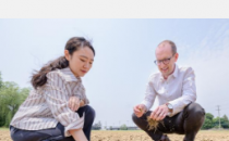 新研究评估气候冲击如何影响农作物的种植和收获面积
