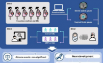 阴道微生物群播种改善剖腹产婴儿的神经发育