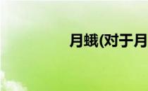 月蛾(对于月蛾简单介绍)