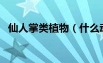 仙人掌类植物（什么动物吃仙人掌不扎嘴）