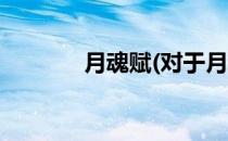 月魂赋(对于月魂赋简单介绍)