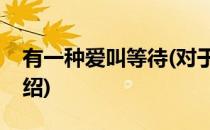 有一种爱叫等待(对于有一种爱叫等待简单介绍)