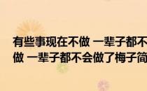 有些事现在不做 一辈子都不会做了梅子(对于有些事现在不做 一辈子都不会做了梅子简单介绍)