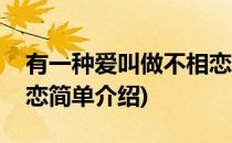 有一种爱叫做不相恋(对于有一种爱叫做不相恋简单介绍)