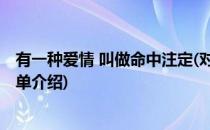 有一种爱情 叫做命中注定(对于有一种爱情 叫做命中注定简单介绍)