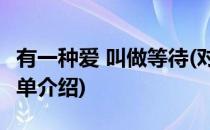 有一种爱 叫做等待(对于有一种爱 叫做等待简单介绍)