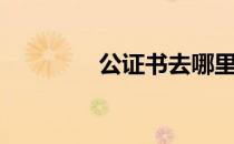 公证书去哪里办（公证书）