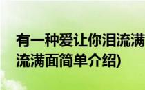 有一种爱让你泪流满面(对于有一种爱让你泪流满面简单介绍)