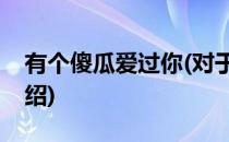 有个傻瓜爱过你(对于有个傻瓜爱过你简单介绍)
