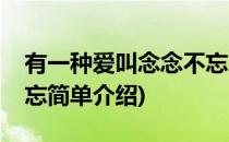 有一种爱叫念念不忘(对于有一种爱叫念念不忘简单介绍)