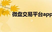 微盘交易平台app下载（微盘交易）