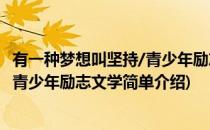 有一种梦想叫坚持/青少年励志文学(对于有一种梦想叫坚持/青少年励志文学简单介绍)