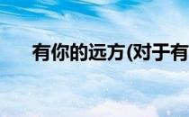 有你的远方(对于有你的远方简单介绍)