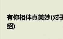 有你相伴真美妙(对于有你相伴真美妙简单介绍)