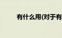 有什么用(对于有什么用简单介绍)