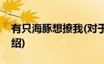 有只海豚想撩我(对于有只海豚想撩我简单介绍)