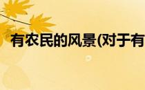 有农民的风景(对于有农民的风景简单介绍)