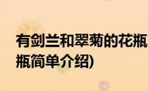 有剑兰和翠菊的花瓶(对于有剑兰和翠菊的花瓶简单介绍)