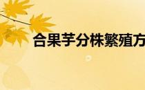 合果芋分株繁殖方法视频（合果芋）