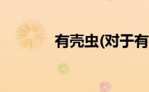 有壳虫(对于有壳虫简单介绍)