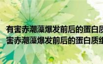 有害赤潮藻爆发前后的蛋白质组和基因表达调控研究(对于有害赤潮藻爆发前后的蛋白质组和基因表达调控研究简单介绍)