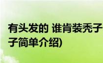 有头发的 谁肯装秃子(对于有头发的 谁肯装秃子简单介绍)