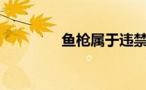 鱼枪属于违禁品吗（鱼枪）