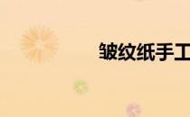 皱纹纸手工（皱纹纸）