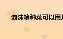 泡沫箱种菜可以用几年（泡沫箱种菜）