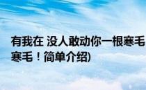 有我在 没人敢动你一根寒毛！(对于有我在 没人敢动你一根寒毛！简单介绍)